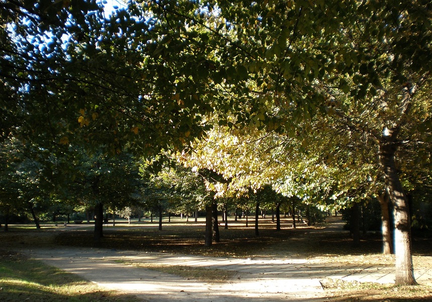 Detalle Parque de la Rambleta